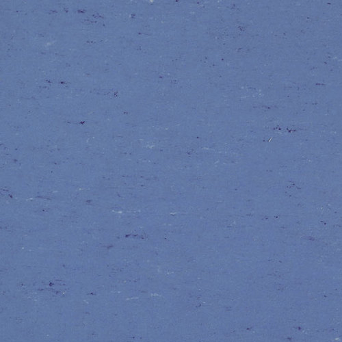 0004 Bluebird